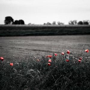 百度1个性感的脱衣舞
